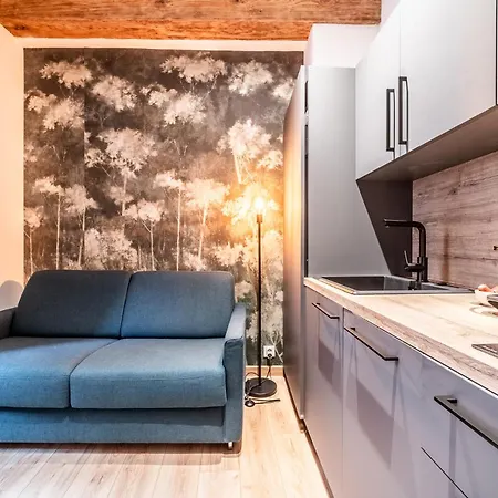 Coeur Vieille Apartment Annecy